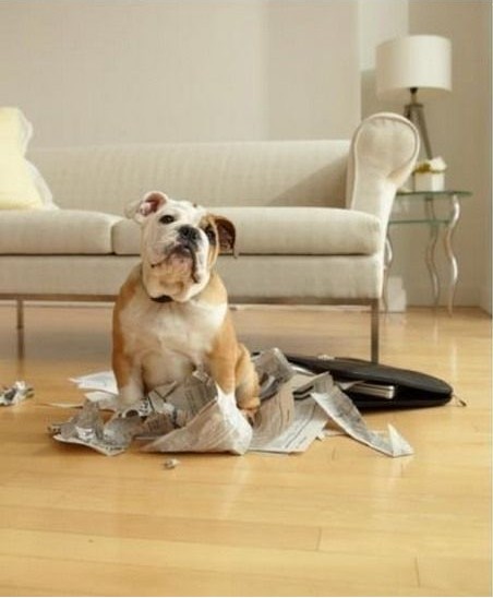 三、家中摆设应该尽量添加一些“贵重”物品