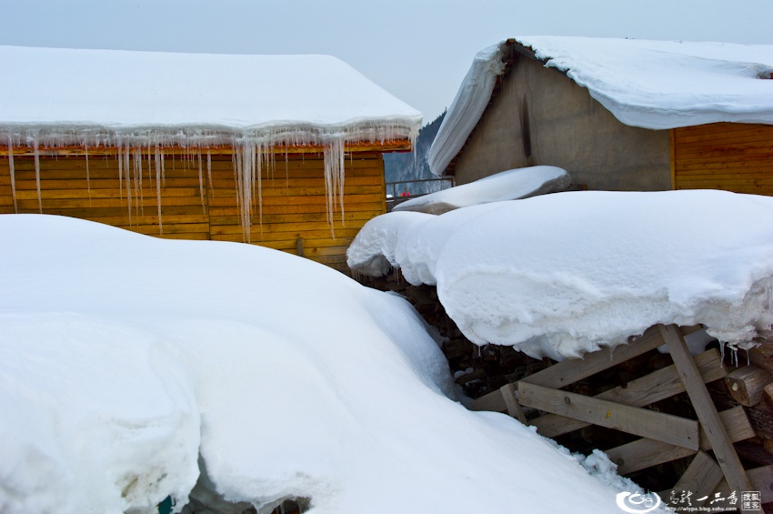 大象成视人3秒跳转视频