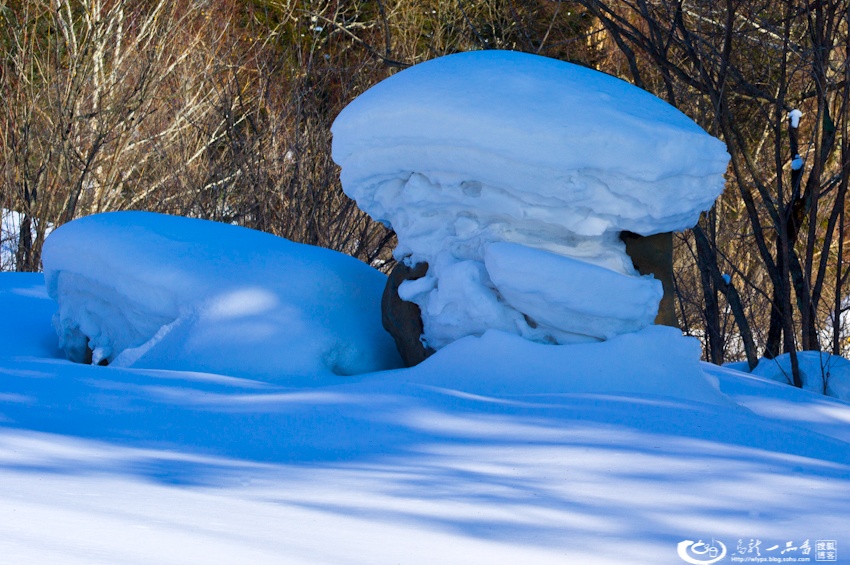 大象成视人3秒跳转视频