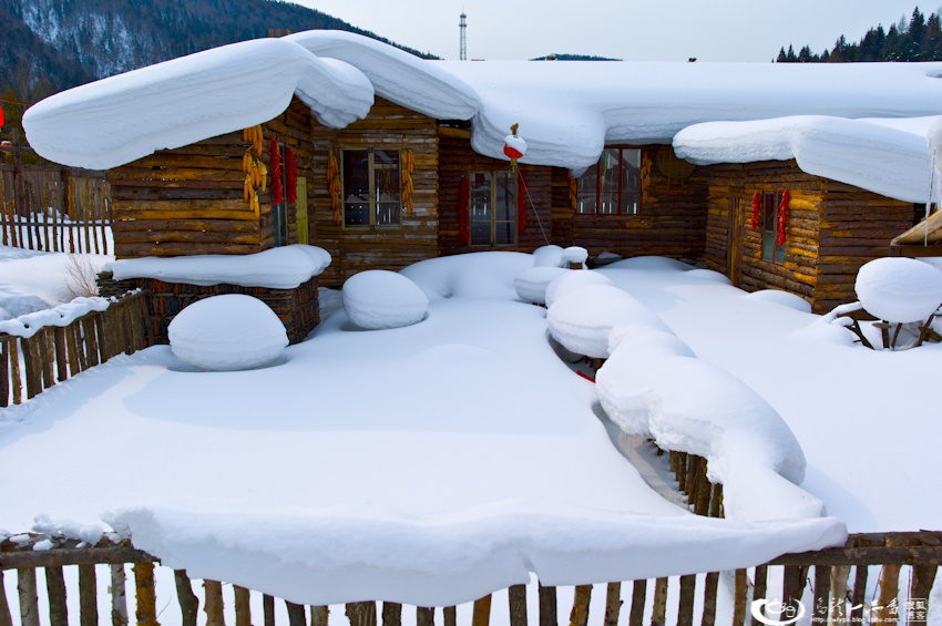 大象成视人3秒跳转视频