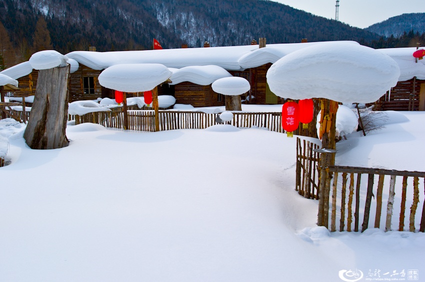 大象成视人3秒跳转视频