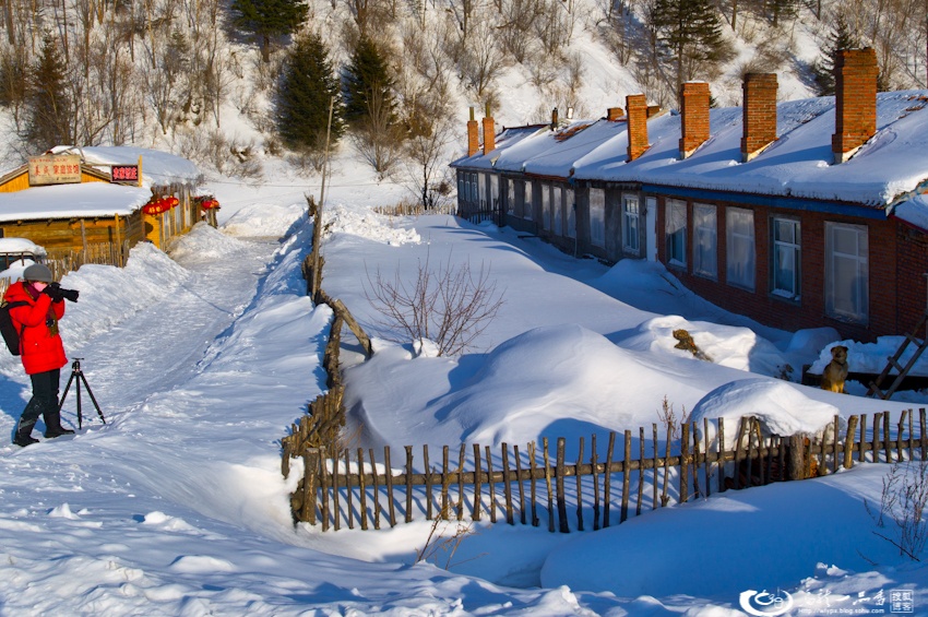 大象成视人3秒跳转视频