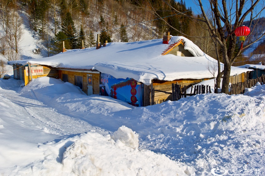大象成视人3秒跳转视频