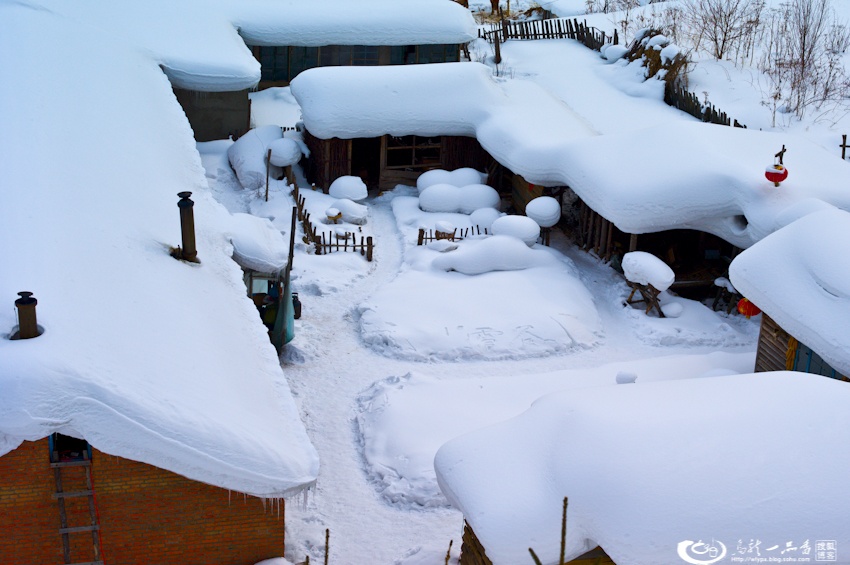 大象成视人3秒跳转视频