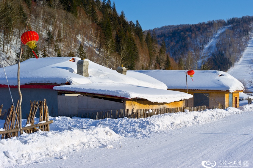 大象成视人3秒跳转视频