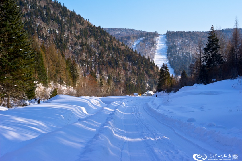 大象成视人3秒跳转视频