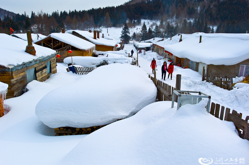 大象成视人3秒跳转视频
