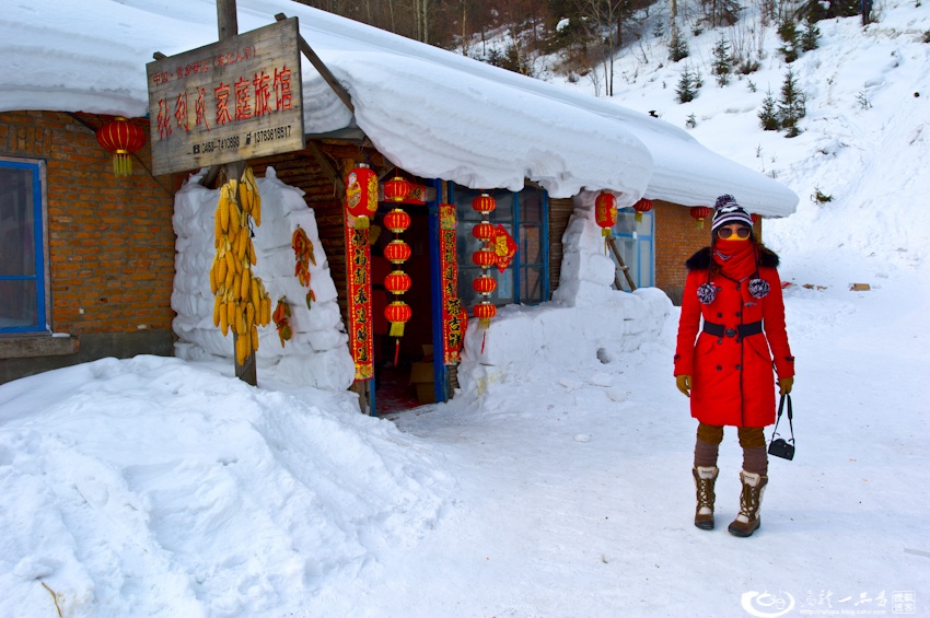大象成视人3秒跳转视频