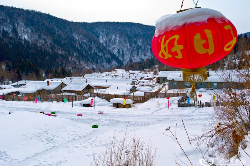 大象成视人3秒跳转视频