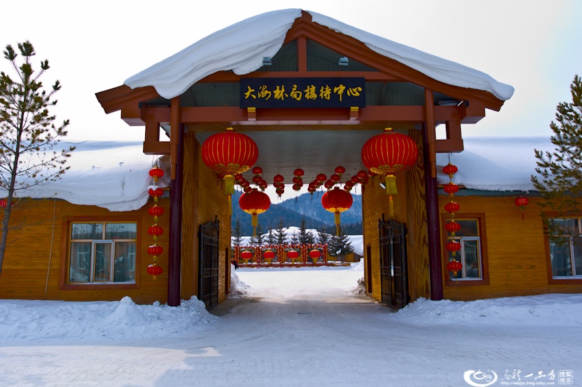 大象成视人3秒跳转视频