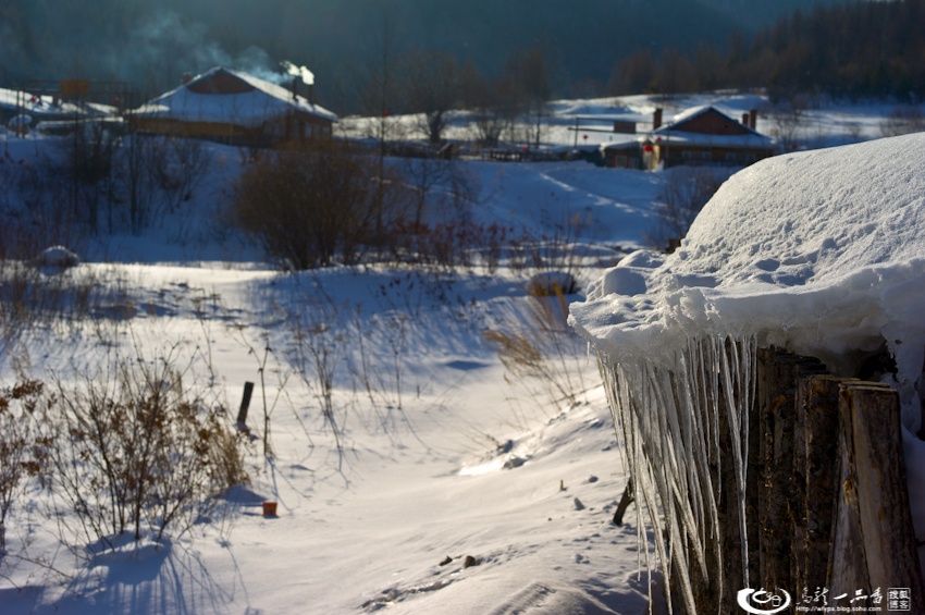 大象成视人3秒跳转视频