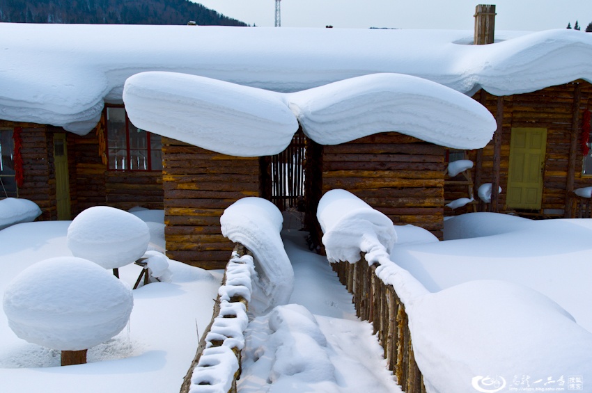 大象成视人3秒跳转视频