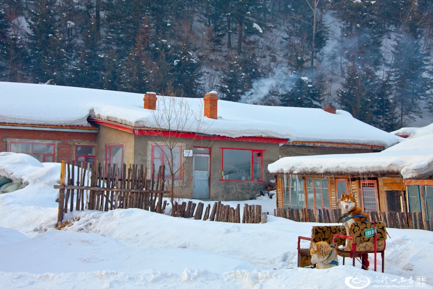 大象成视人3秒跳转视频