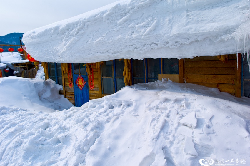 大象成视人3秒跳转视频
