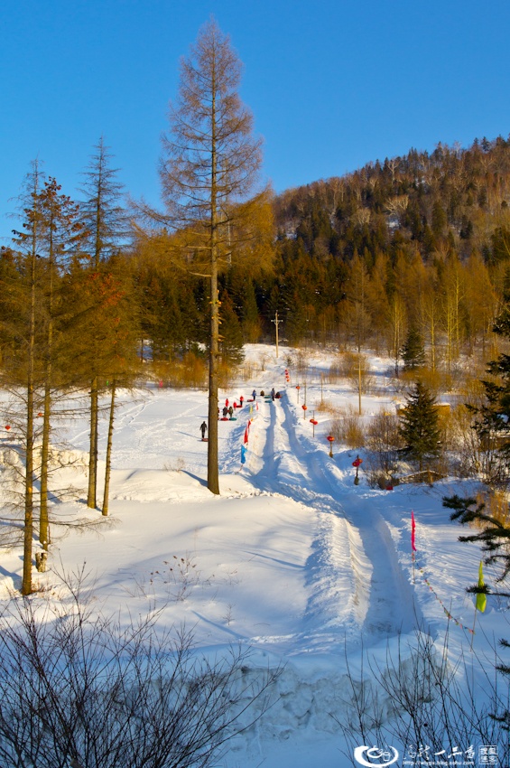 大象成视人3秒跳转视频