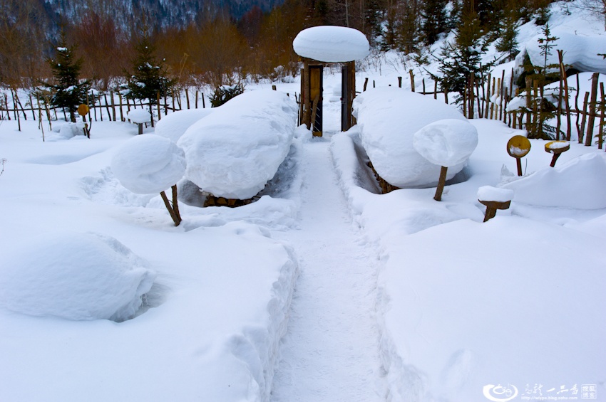 大象成视人3秒跳转视频