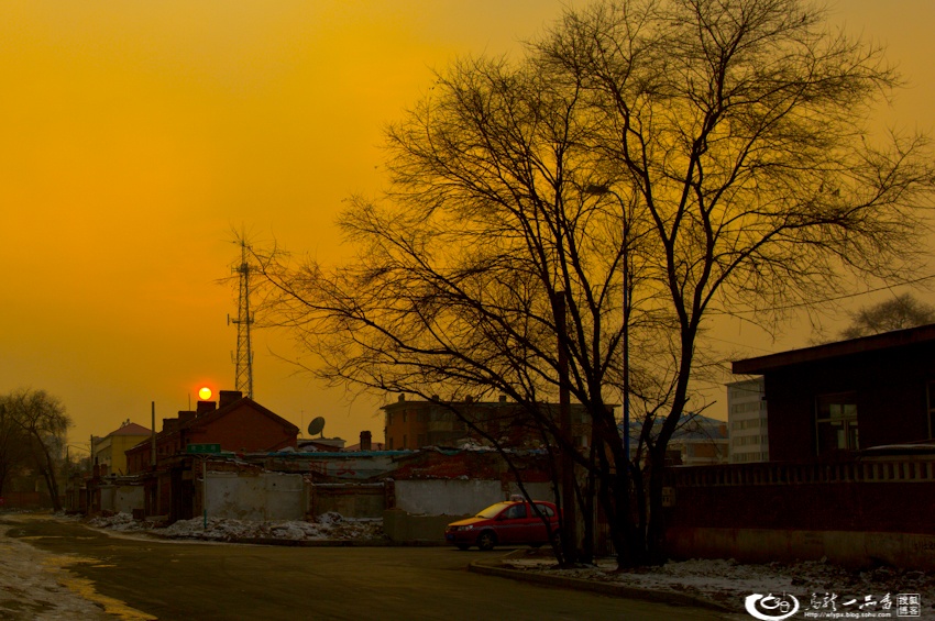 大象成视人3秒跳转视频