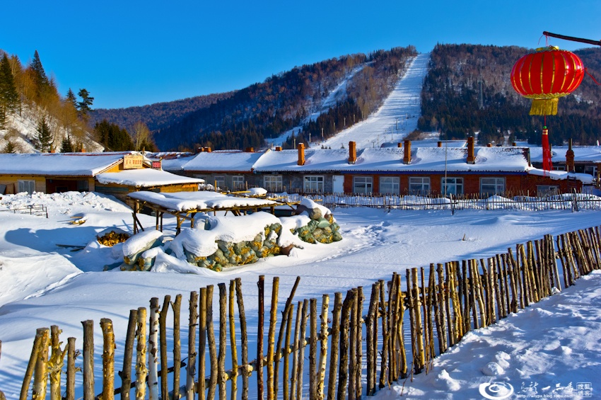 大象成视人3秒跳转视频