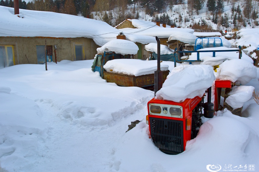 大象成视人3秒跳转视频