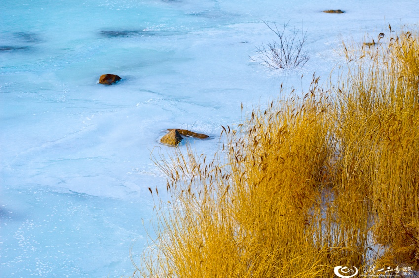 大象成视人3秒跳转视频