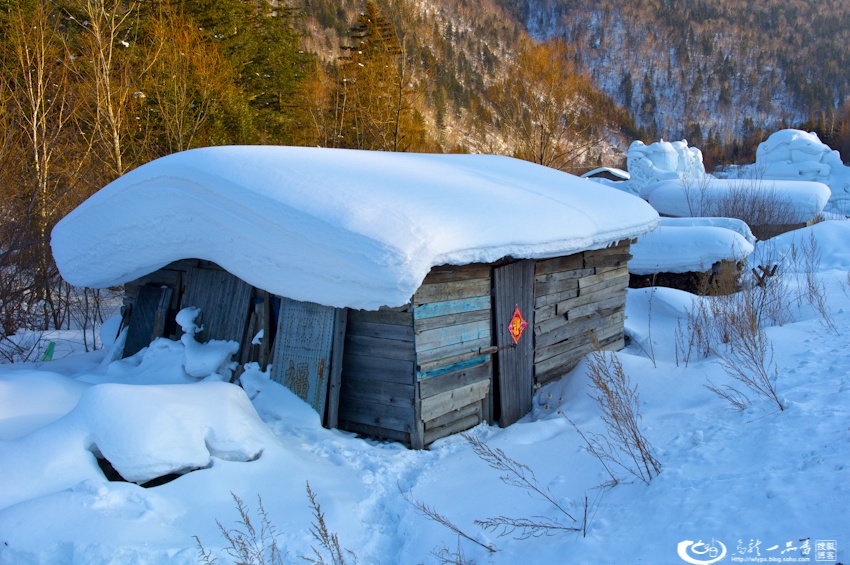 大象成视人3秒跳转视频