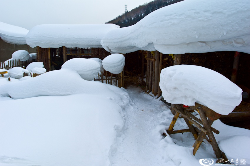 大象成视人3秒跳转视频