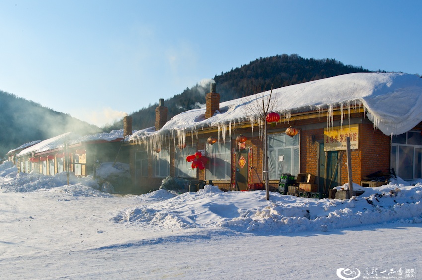 大象成视人3秒跳转视频