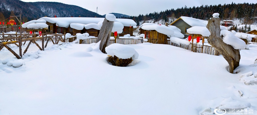 大象成视人3秒跳转视频