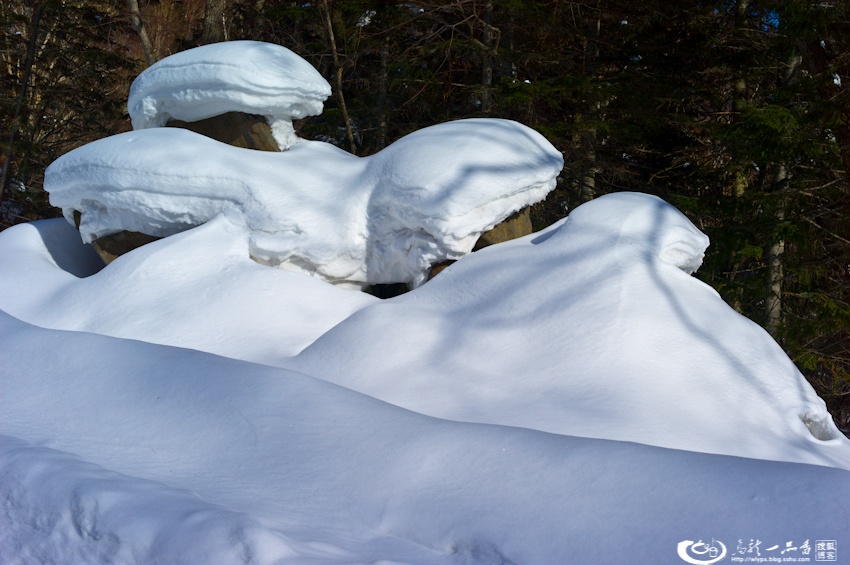 大象成视人3秒跳转视频