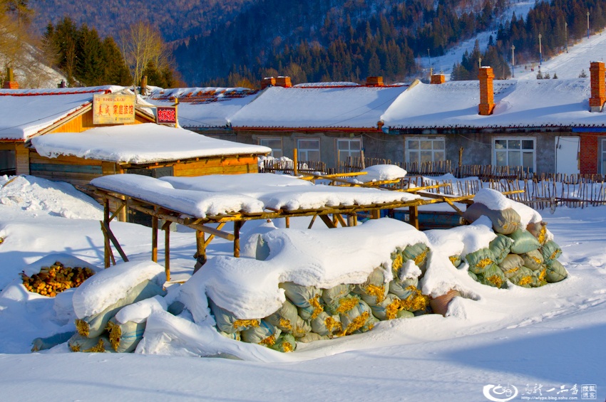 大象成视人3秒跳转视频