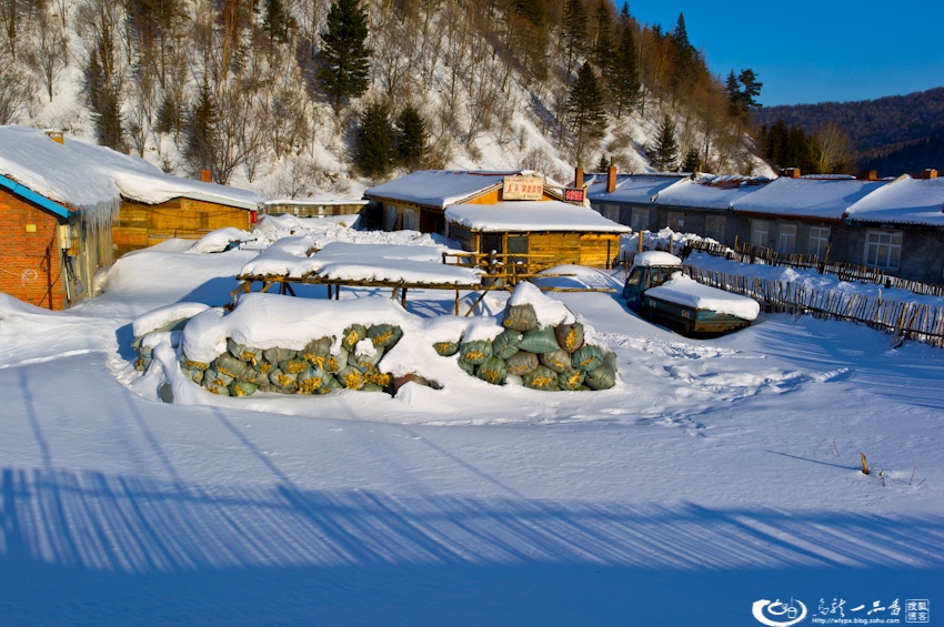 大象成视人3秒跳转视频