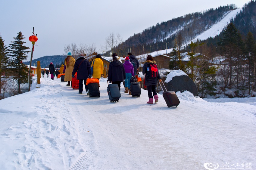 大象成视人3秒跳转视频