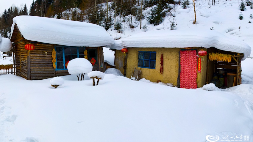 大象成视人3秒跳转视频