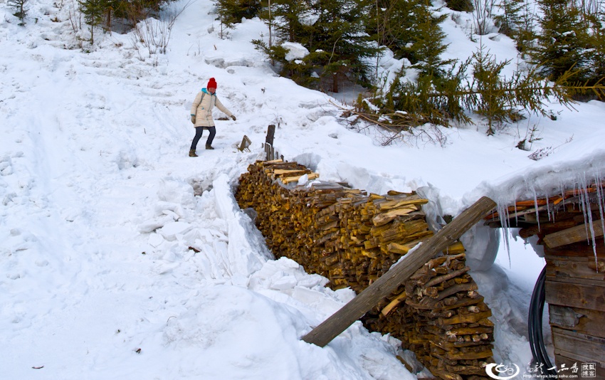 大象成视人3秒跳转视频