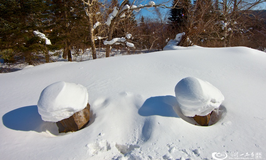 大象成视人3秒跳转视频