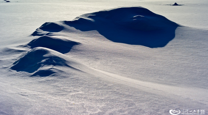 大象成视人3秒跳转视频