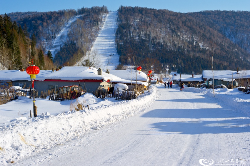 大象成视人3秒跳转视频