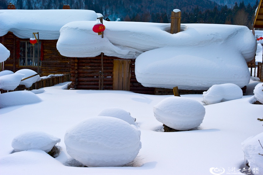 大象成视人3秒跳转视频