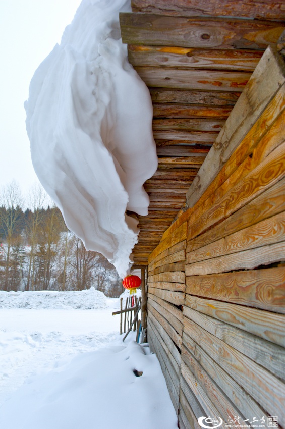 大象成视人3秒跳转视频