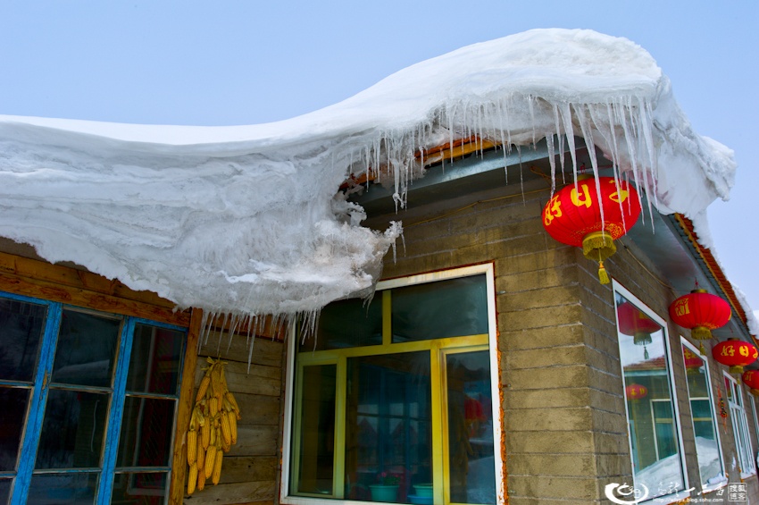 大象成视人3秒跳转视频