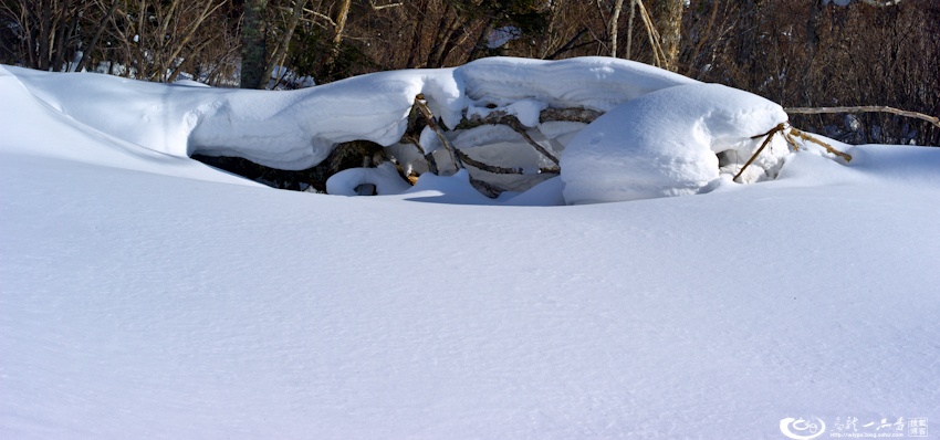 大象成视人3秒跳转视频