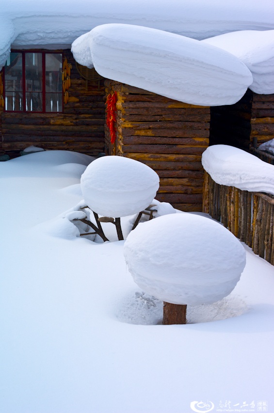 大象成视人3秒跳转视频