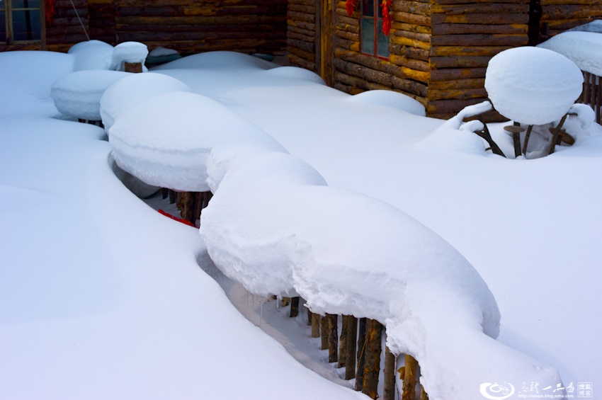 大象成视人3秒跳转视频