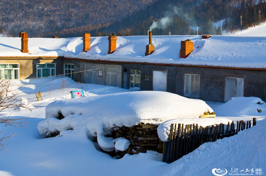 大象成视人3秒跳转视频