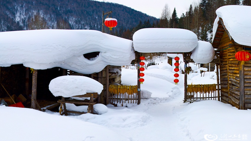 大象成视人3秒跳转视频