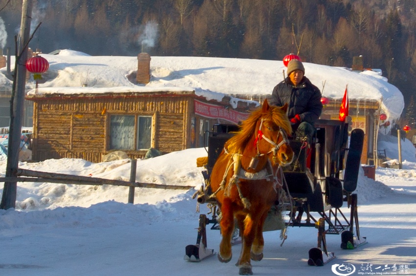 大象成视人3秒跳转视频