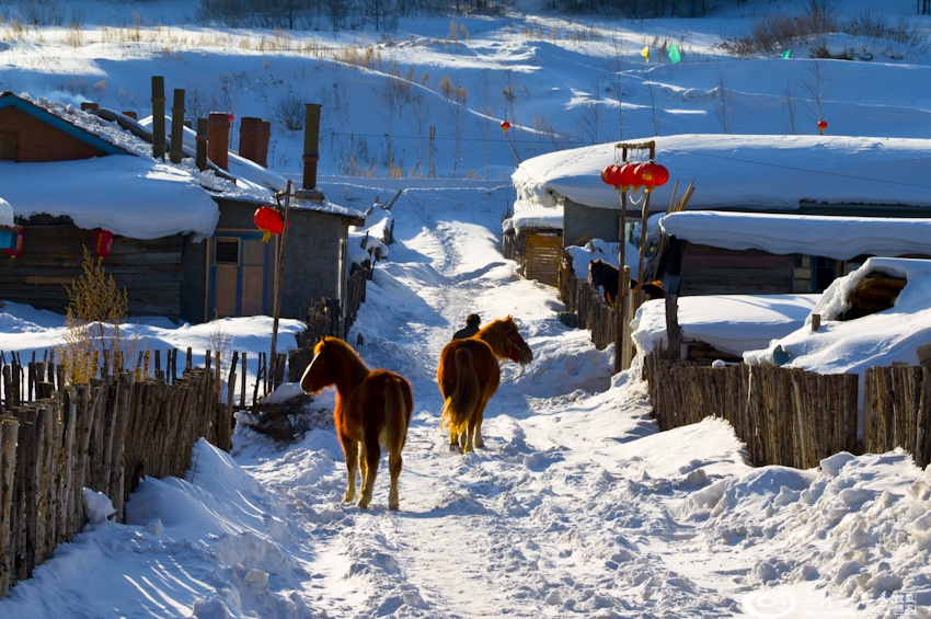 大象成视人3秒跳转视频