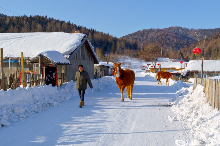 大象成视人3秒跳转视频