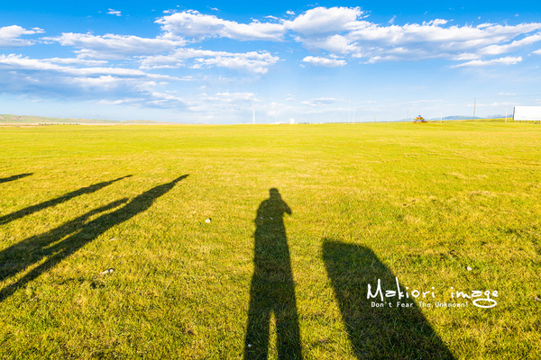 大象成视人3秒跳转视频