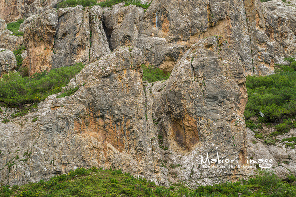 大象成视人3秒跳转视频
